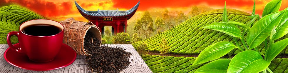 Malwa Tea - Herbaty Czerwone PU-ERH