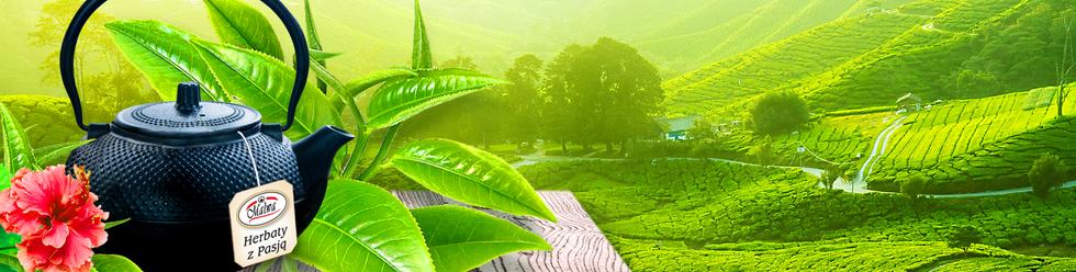 Malwa Tea - Green Teas