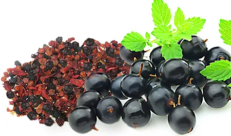 Dried Fruit - Blackcurrant
