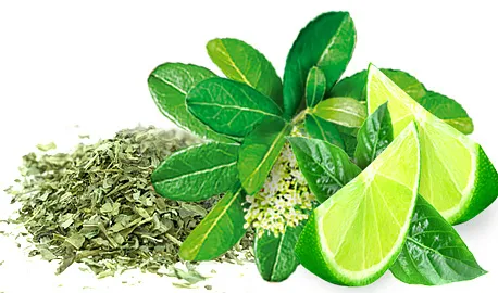 Exclusive Yerba Mate - Yerba Mate with Lime