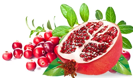 Exclusive Sunny Garden Teas - Cranberry with Pomegranate
