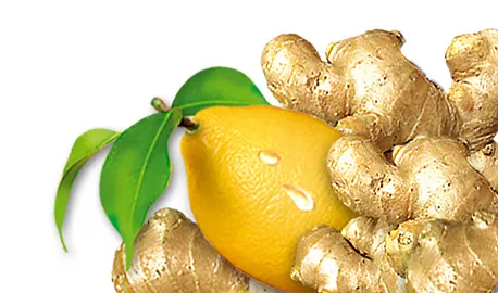 Exclusive Sunny Garden Teas - Ginger & Lemon