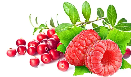 Fruit Teas Express - Raspberry & Cranberry