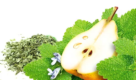 Exclusive Sunny Garden Teas - Lemon Balm & Pear