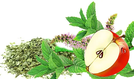 Herbal Teas Express - Mint with Apple