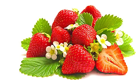 Fruit Teas Express - Strawberry tea