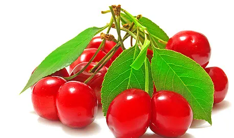 Fruit Teas Express - Wild cherry tea