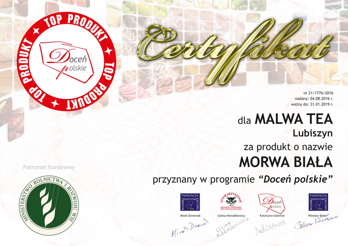 Malwa Tea - Top Produkt Morwa Biała