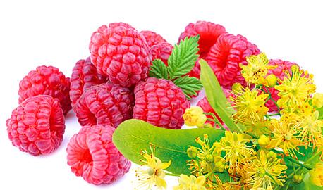 Fruit Teas Express - Raspberry with Linden