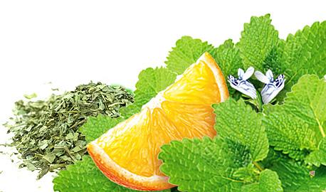 Herbal Teas Express - Lemon Balm with Orange